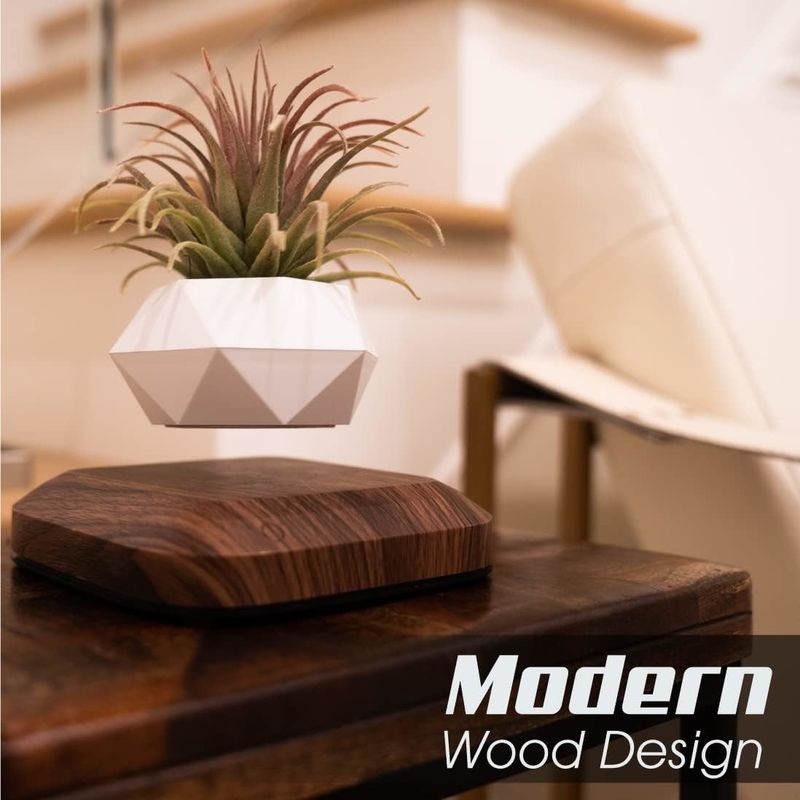OEM/ODM Floating Levitating Plant Pot Holder voor Air Plants Ruimte Decor Tech Toys