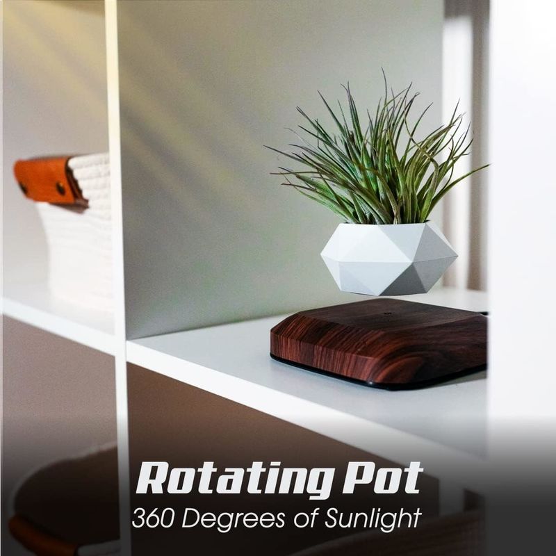 OEM/ODM Floating Levitating Plant Pot Holder voor Air Plants Ruimte Decor Tech Toys