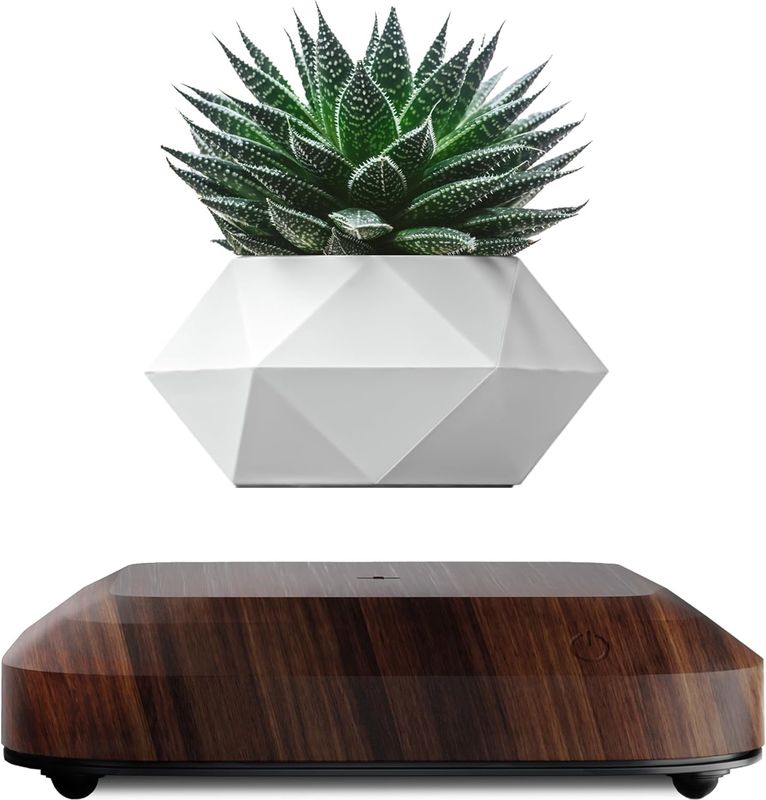 OEM/ODM Floating Levitating Plant Pot Holder voor Air Plants Ruimte Decor Tech Toys